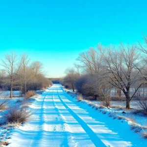 Cold winter landscape in Texas affected by polar vortex